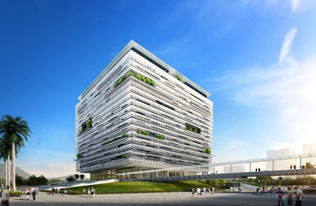 孔雀展屏 彩耀横琴 菲华国际的璀璨篇章